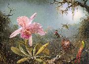 Martin Johnson Heade Cattleya Orchid Three Brazilian Hummingbirds oil painting